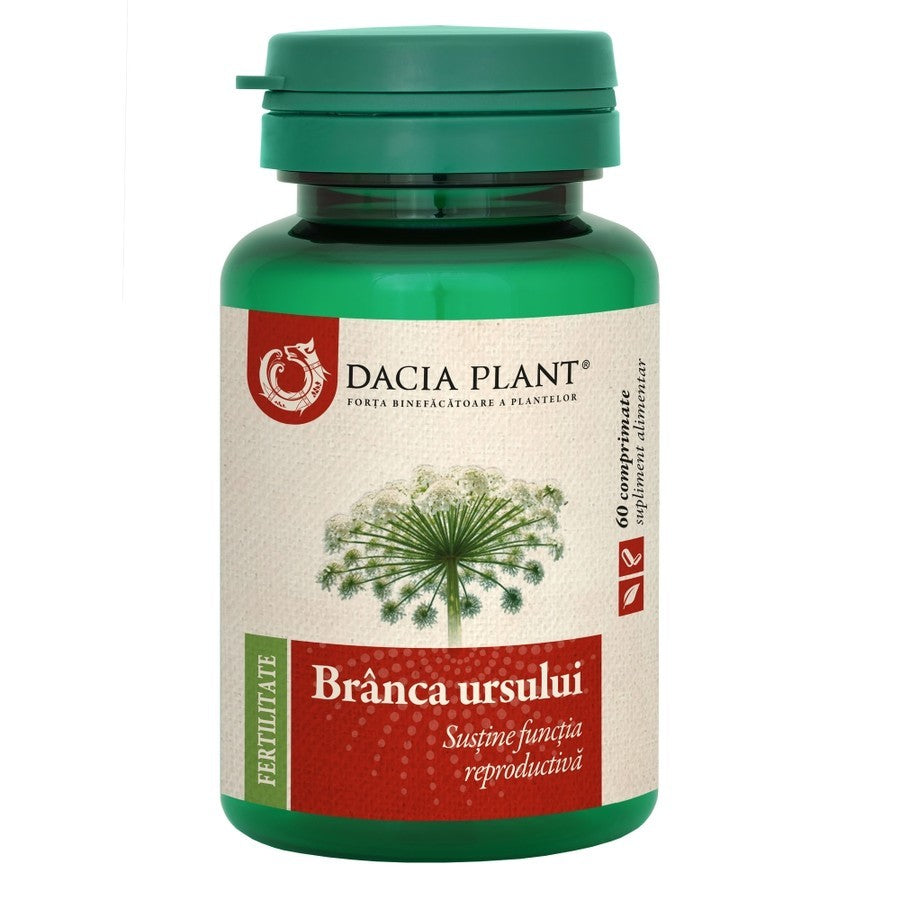Branca Ursului box