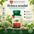 Branca Ursului 60 tablets Dacia Plant